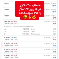 سود بیش از ۱۰۰%با سرمایه ۳۰۰تا۵۰۰ د.ل.ا.ری|استخدام مالی، حسابداری، حقوقی|تهران, نیلوفر|دیوار