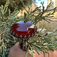 انگشتر عقیق سرخ و عقیق زرد با رکاب نقره المان|بدلیجات|کرج, مصباح|دیوار