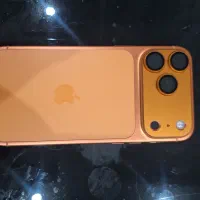 17 پرومکس