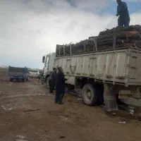 خریدار چوب.  درخت|خدمات باغبانی و درختکاری|شاهین دژ, |دیوار