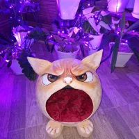 جای خواب گربه پاپیه ماشه طرح های تکرار نشدنی