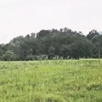 راهنمایی میخوام