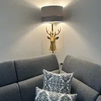 آباژورکنارسالنی گوزن آرامیس