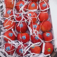 سورت بسته بندی میوه