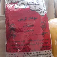 قاووت نمونه کرمان بسته نیم کیلویی