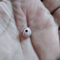 مهره فروشی|جواهرات|دزفول, |دیوار