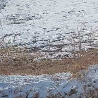 زمین-67000متر-بره-اتوبان