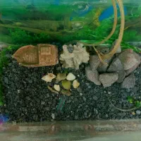 آکواریوم  همراه با پایه و  وسایل تزئینی