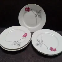 بشقاب میوه خوری