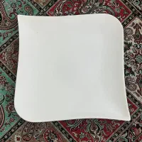 ظروف پذیرایی چینی (چینی توس)