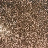 موکت خام بلند|موکت|بندر گناوه, |دیوار