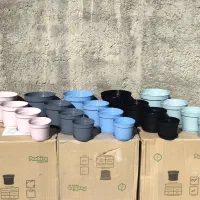 گل و گیاه، گلدان،کود و بستر کشت گیاهان آپارتمانی|گل و گیاه طبیعی|طبس, |دیوار