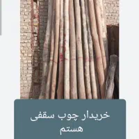 چوب سقفی