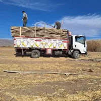 باربری و چوب مجوز دار|خدمات حمل و نقل|الشتر, |دیوار