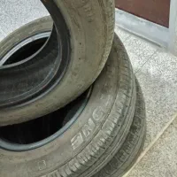 لاستیک ساینا، کوییک و تیبا