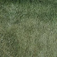 فروش چمن مصنوعی|پادری|فلاورجان, |دیوار