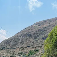 زمین باغی واقع در ملار پایین دست جاده آبگرم|فروش زمین و ملک کلنگی|رینه, |دیوار