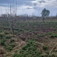 زمین زراعی به صورت قطعه بندی شده در وشلق