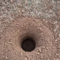 چاله کن چاله کنی انواع نهال تیرچه فنس|خدمات باغبانی و درختکاری|ارومیه, |دیوار