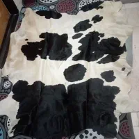 پوست گاو طبیعی