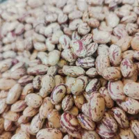لوبیا چیتی سورت شده و خوش پخت