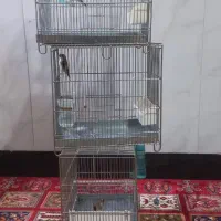 سهره تازه صاف