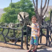 نیازمند پرستار خانم