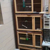 قفس پرنده