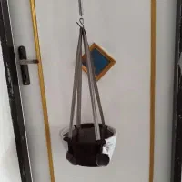 تاب شورتی