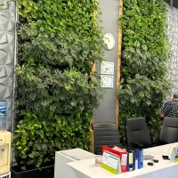 ابیاری قطره ای/ دیوار سبز/ بام سبز/ محوطه سازی