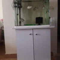 اکواریوم دلسا|ماهی|اندیشه, اندیشه فاز ۲|دیوار