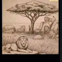 راهنمایی میخوام