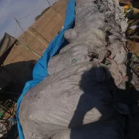 پخش زغال تخته وهیزومی