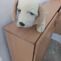 مجموعه عروسک های درحدنو ‌وتاب تاب نو|اسباب‌‌بازی|سقز, |دیوار