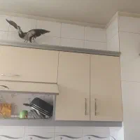 درب کابینت|مصالح و تجهیزات ساختمان|شاهین‌شهر, فردوسی|دیوار