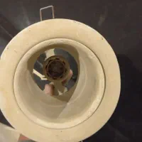 11عدد هالاژن بزرگ همه سالم