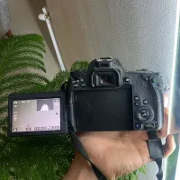 دوربین Canon EOS 77D|دوربین عکاسی و فیلم‌برداری|شیراز, شهرک برف فروشان|دیوار