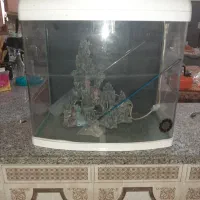 هفت ملیون نیم