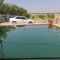 گلخانه، باغ ویلا یک هکتاری استثنایی