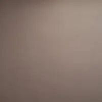 نظافت منزل