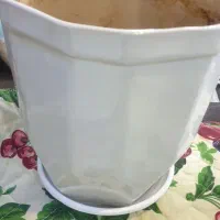 گلدان|گل و گیاه طبیعی|ری, فیروزآبادی|دیوار