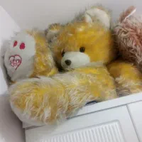 عروسک پولیشی|اسباببازی بچه|قم, کاسه گران|دیوار