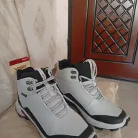 کفش کوهنوردی و رانینگ نو|کیف، کفش، کمربند|همدان, |دیوار