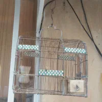 تعدادی قفس سهره|لوازم جانبی حیوانات|شیراز, شهرک مفتح|دیوار