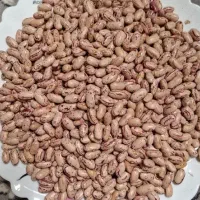 لوبیا چیتی