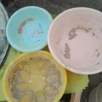 لگن برای پرنده|لوازم جانبی حیوانات|فردیس, سرحدی|دیوار