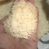 برنج طارم هاشمی و طارم محلی ارزانتر از هر جا|خوردنی و آشامیدنی|تهران, میرداماد|دیوار