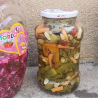 ترشی|عمده‌فروشی|نقده, |دیوار