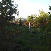 باغ دور دیوار موقعیت مناسب