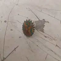 انگشتر فیروزه